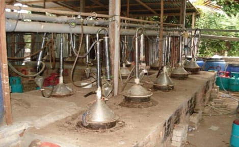 oud-or-agarwood-hydrodistillation