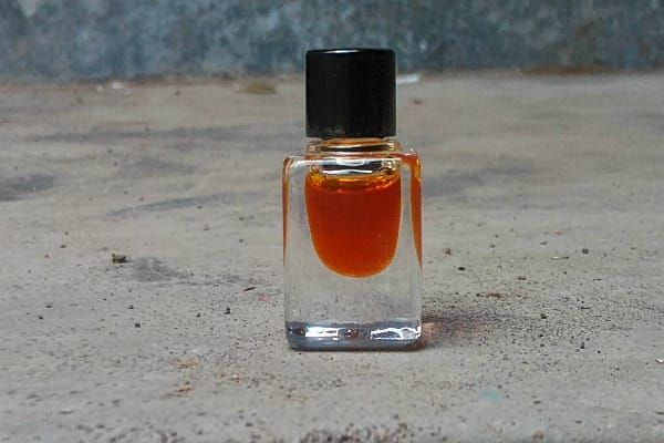 Oud Flora Stepa