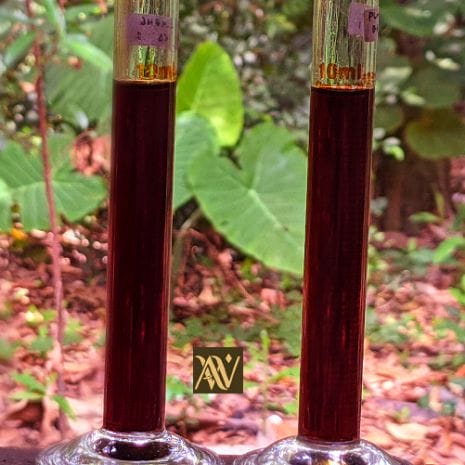 Oud Sumatra Palembang 2 Oud Palembang Sumatra Dua