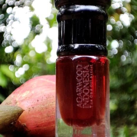 Jayapura Oud Jayapura Oud