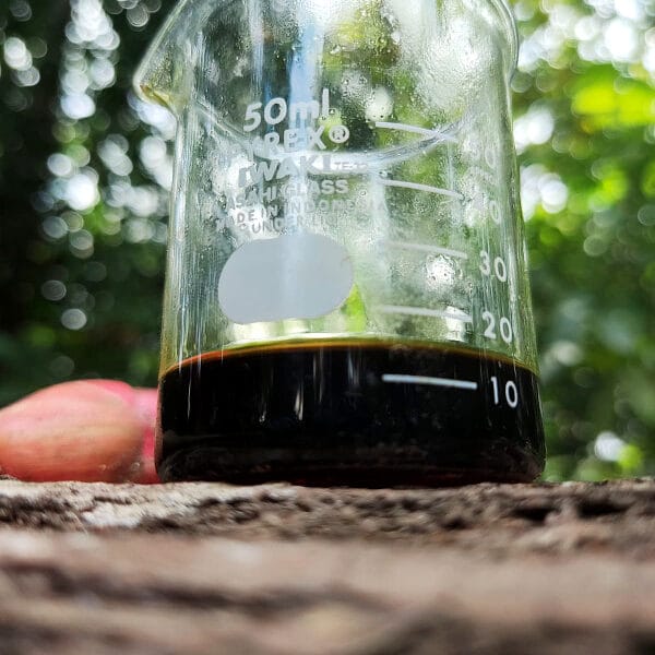 Sumbawa Oud